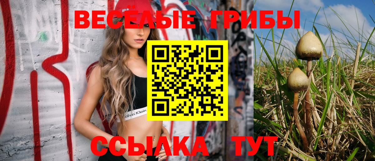 Каменск-Шахтинский  Галлюциногенные грибы ЛСД  Вход с VPN  Псилоцибиновые грибы ЛСД 